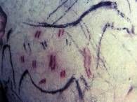 Pintura rupestre de la Cueva de la Pileta