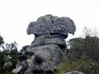 Montera del Torero - Parque de los Alcornocales
